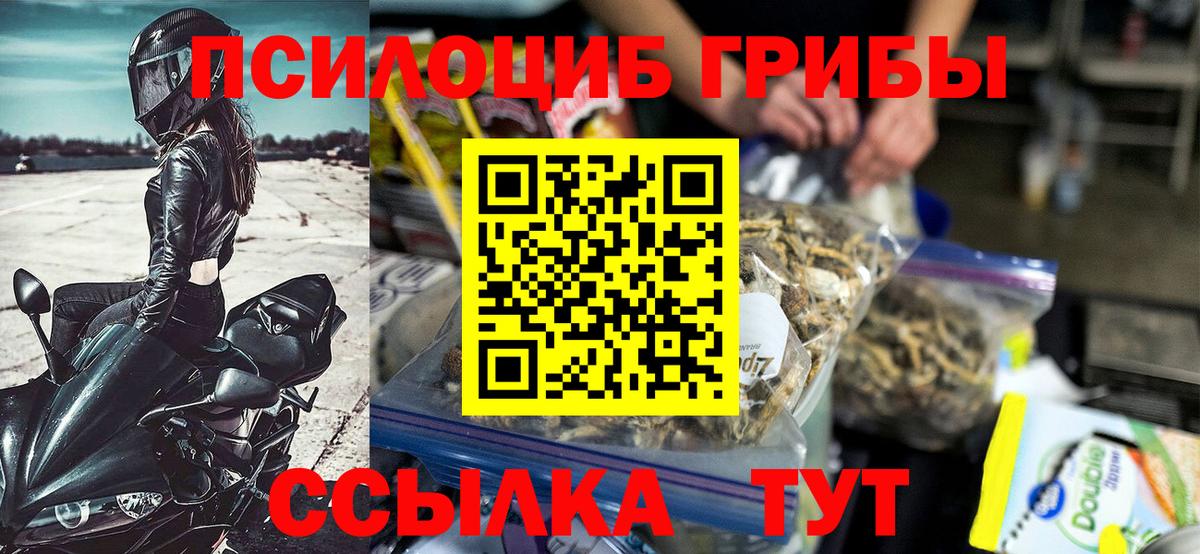 Галлюциногенные грибы мицелий  Вход с VPN  закладка  Томск 